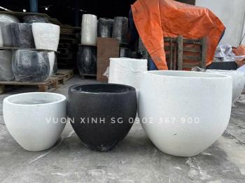 Chậu Bầu Nhọnbo bau nhon