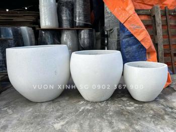 Chậu Bầu Nhọnbo bau nhon trang